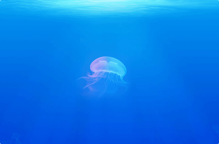  Venezuela en peligro